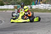 20110501_ales_agnus (3454)